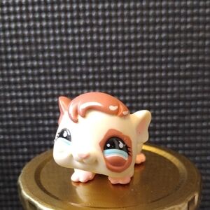 LPS - Guinea Pig